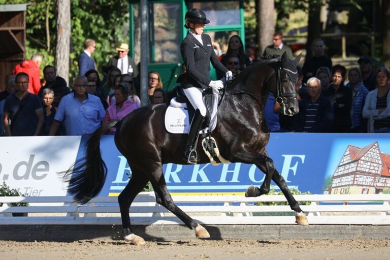 bundeschampionate-2022